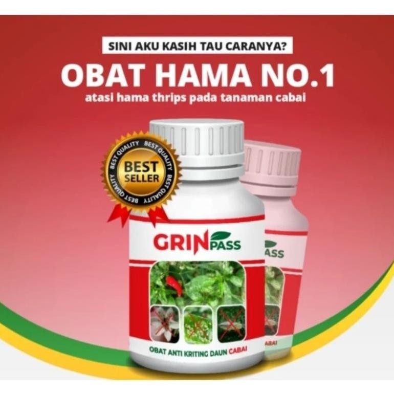 GRIN pas obat hama dan anti kriting daun cabai