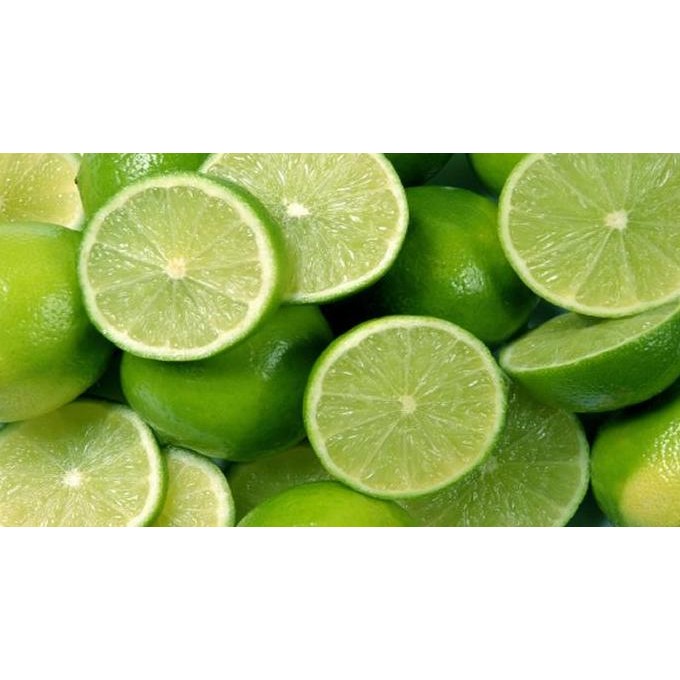 

Terlaris Bibit Jeruk Nipis Garansi Valid