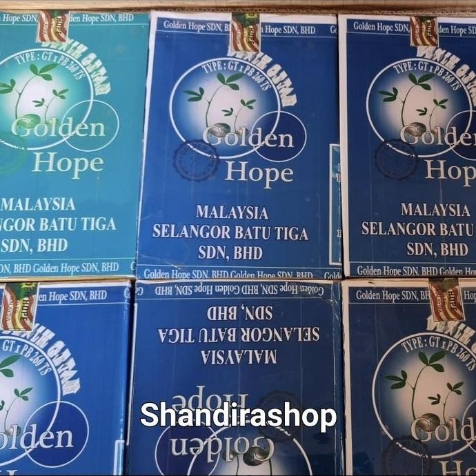 || BANANA / Benih Bibit Karet Unggul Golden Hope Malaysia GTX ||~~~