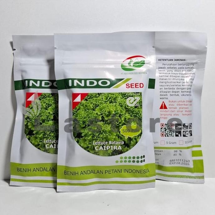 || BANANA / benih bibit selada caipira lettuce batavia 1 gram kemasan original ||~~~