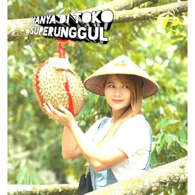 

Terlaris Bibit Durian Musangking Unggul Dan Murah