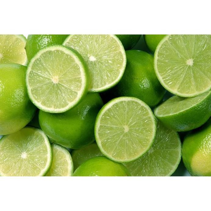 

Terlaris Bibit Tanaman Buah Jeruk Nipis