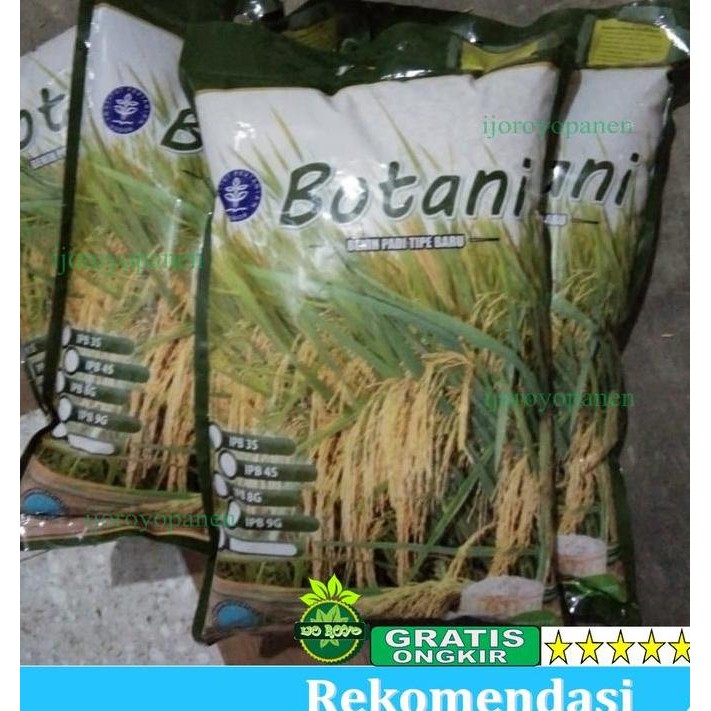 || BANANA / BENIH PADI IPB 3S original 5KG UNGGUL MURAH PREMIUM ||~~~