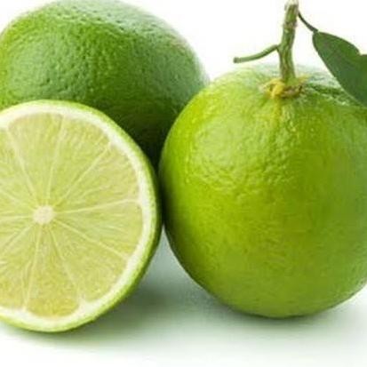 

Terlaris Bibit Jeruk Nipis