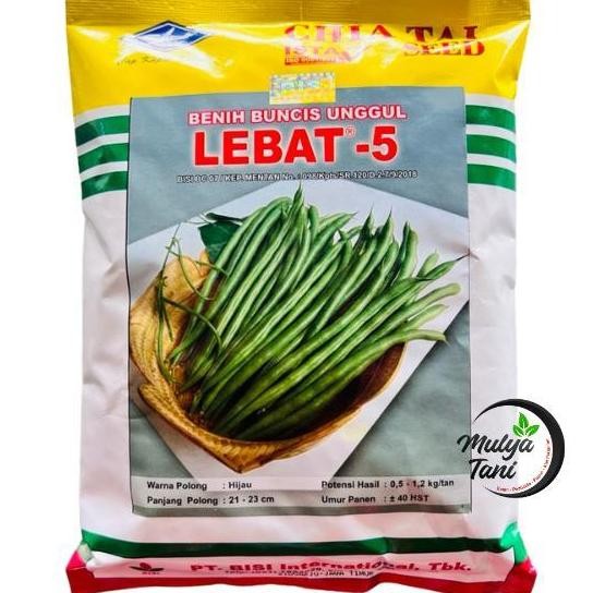 || BANANA / Benih Buncis Lebat 5 500 Gram Cap Kapal Terbang ||~~~