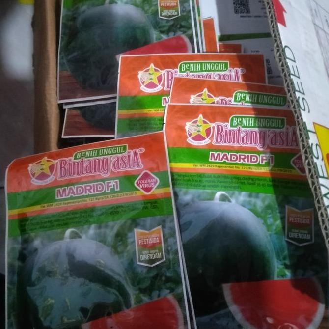 || BANANA / benih bibit semangka MADRID F1 isi 20 gr ||~~~