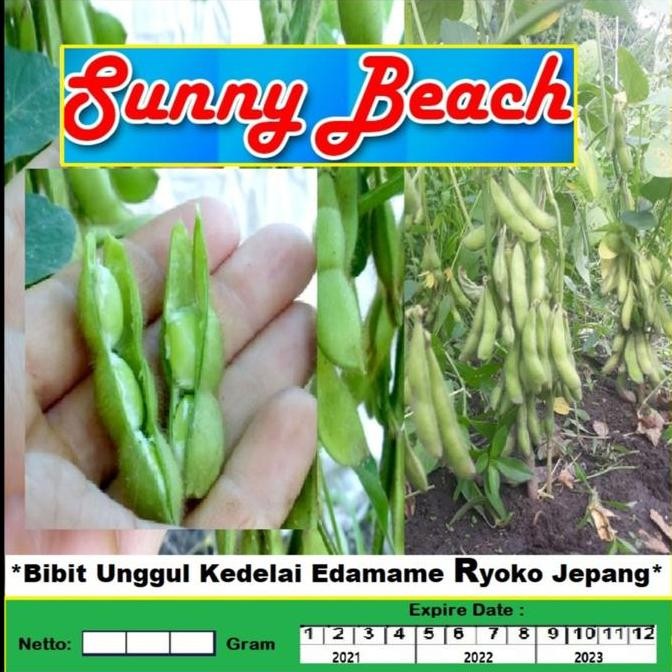 || BANANA / Bibit Unggul Edamame Ryoko Jepang Kemasan Derigen| Benih Edamame Ryoko ||~~~