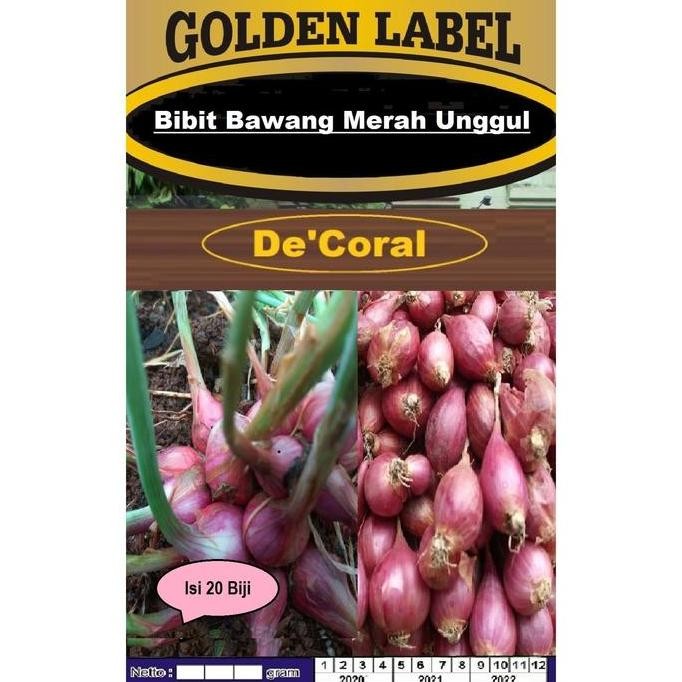 

Terlaris Bibit Bawang Merah Unggul | Bibit Bawang