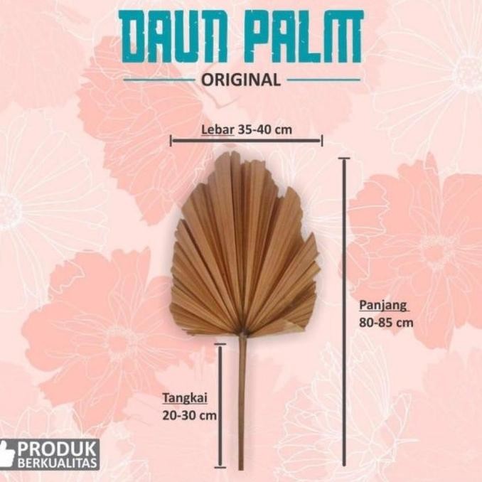 DAUN PALEM KERING DEKORASI RUMAH, DAUN INTERIOR HOTEL, DAUN INTERIOR