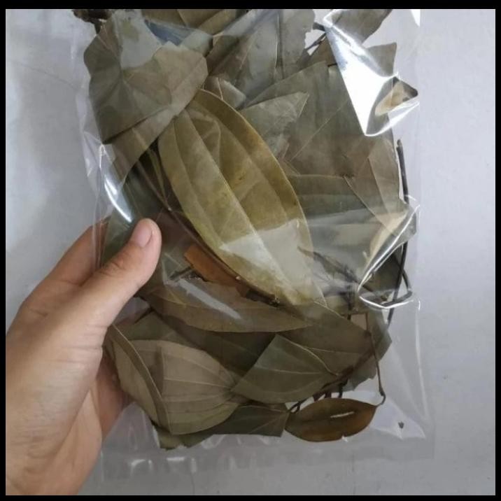 

Daun Kayu Manis Kering 1Kg Cinnamomum Murni