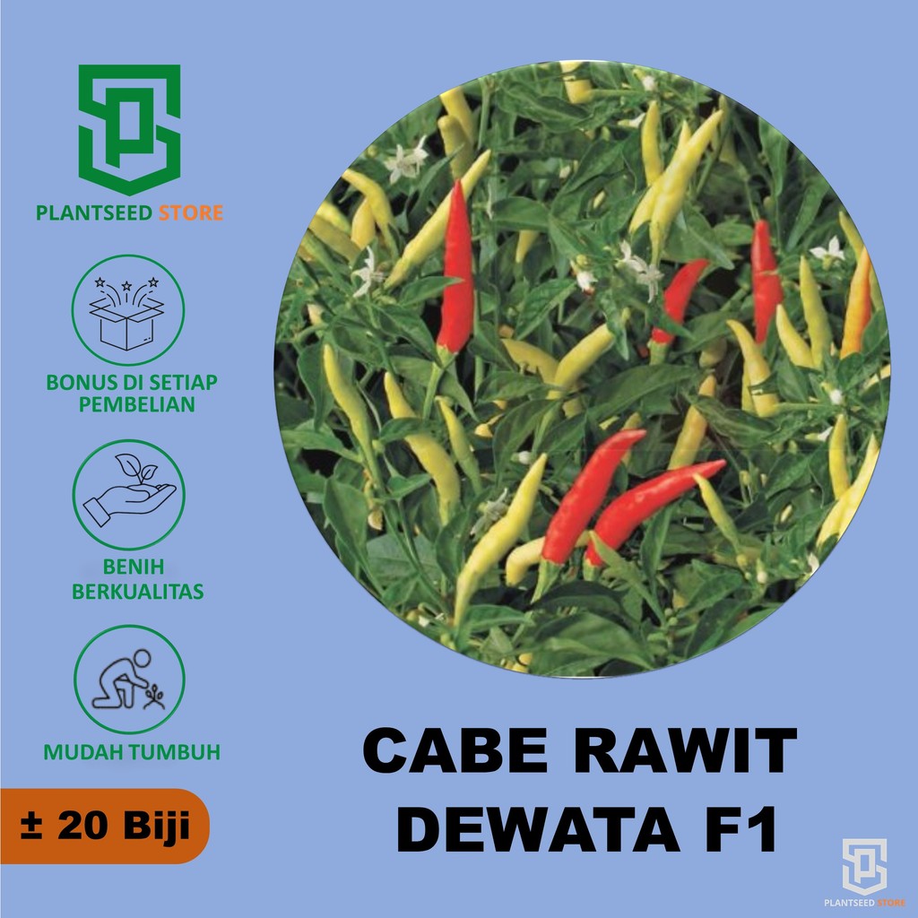 PlantSeed - 20 Benih Bibit Cabe Rawit Setan DEWATA 43 F1