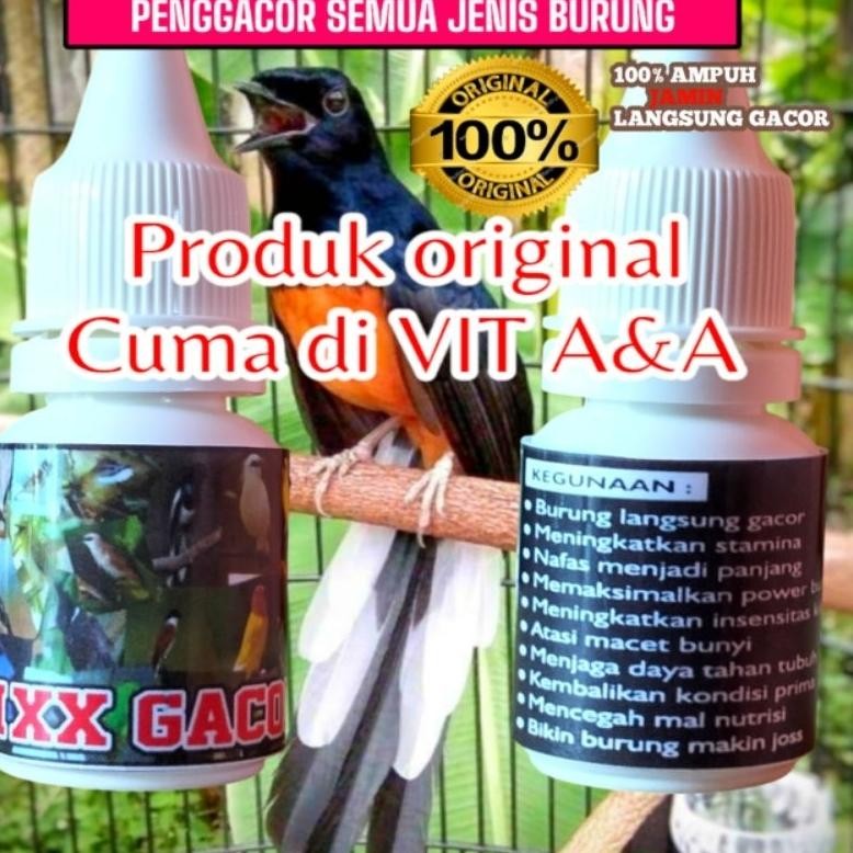 Terlaris MXX GACOR  vitamin penggacor semua jenis burung cuma 1 hari 2x tetes terbukti nyata khasiat