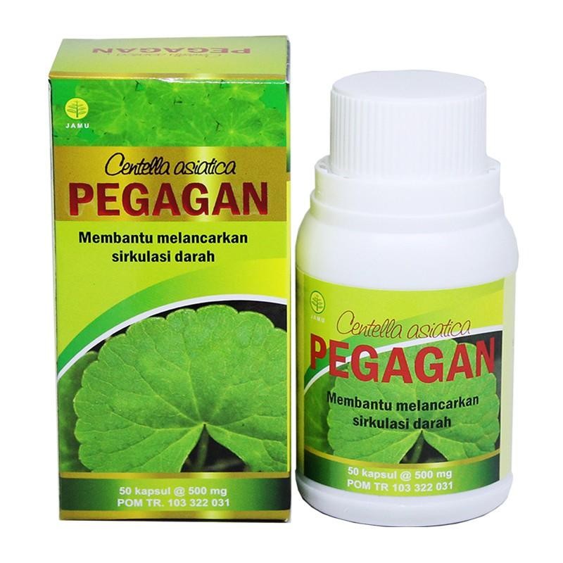 Toga Pegagan / Kapsul Pegagan Ashsihah / Pegagan Bpom