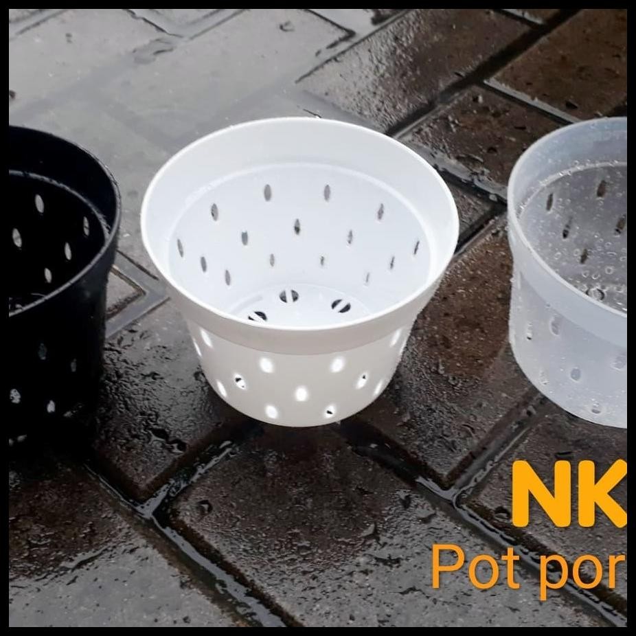 POT PROPAGASI | POT ANGGREK | POT POROS 15 CM | POT BANYAK LUBANG - BENING