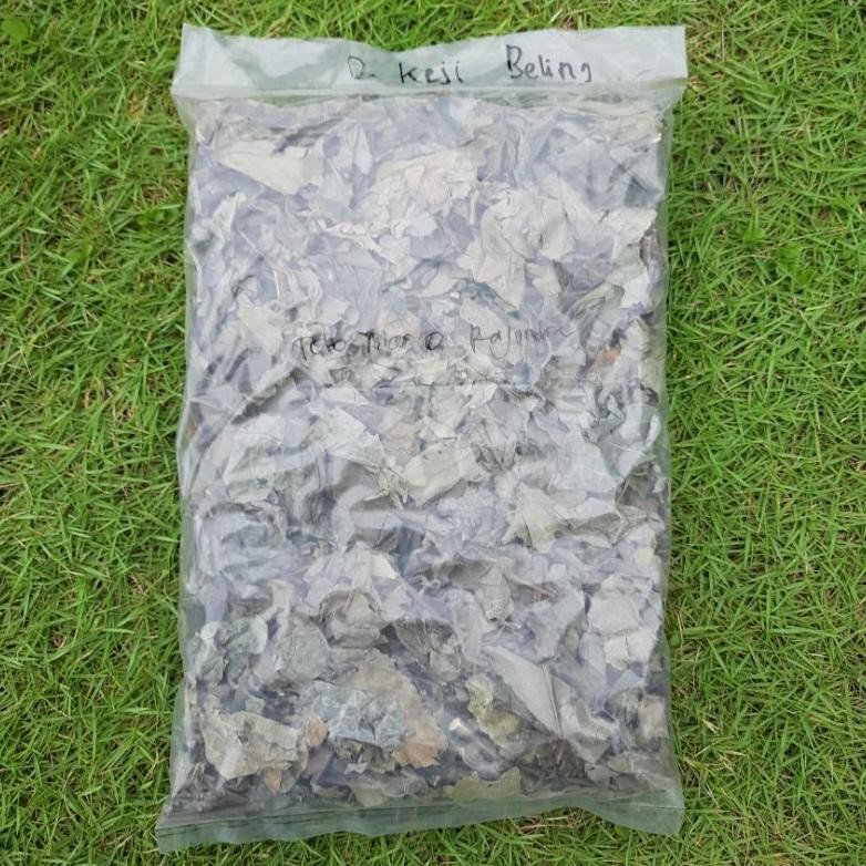 

Daun Keji Beling Kering 50 Gram Geji Pecah