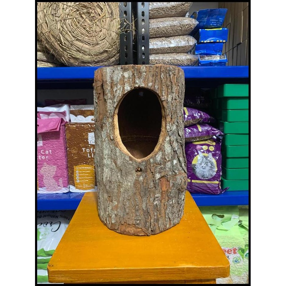 Glodok Murai Pohon Alami Sarang Burung Kicau Murai Batu Kacer Dll