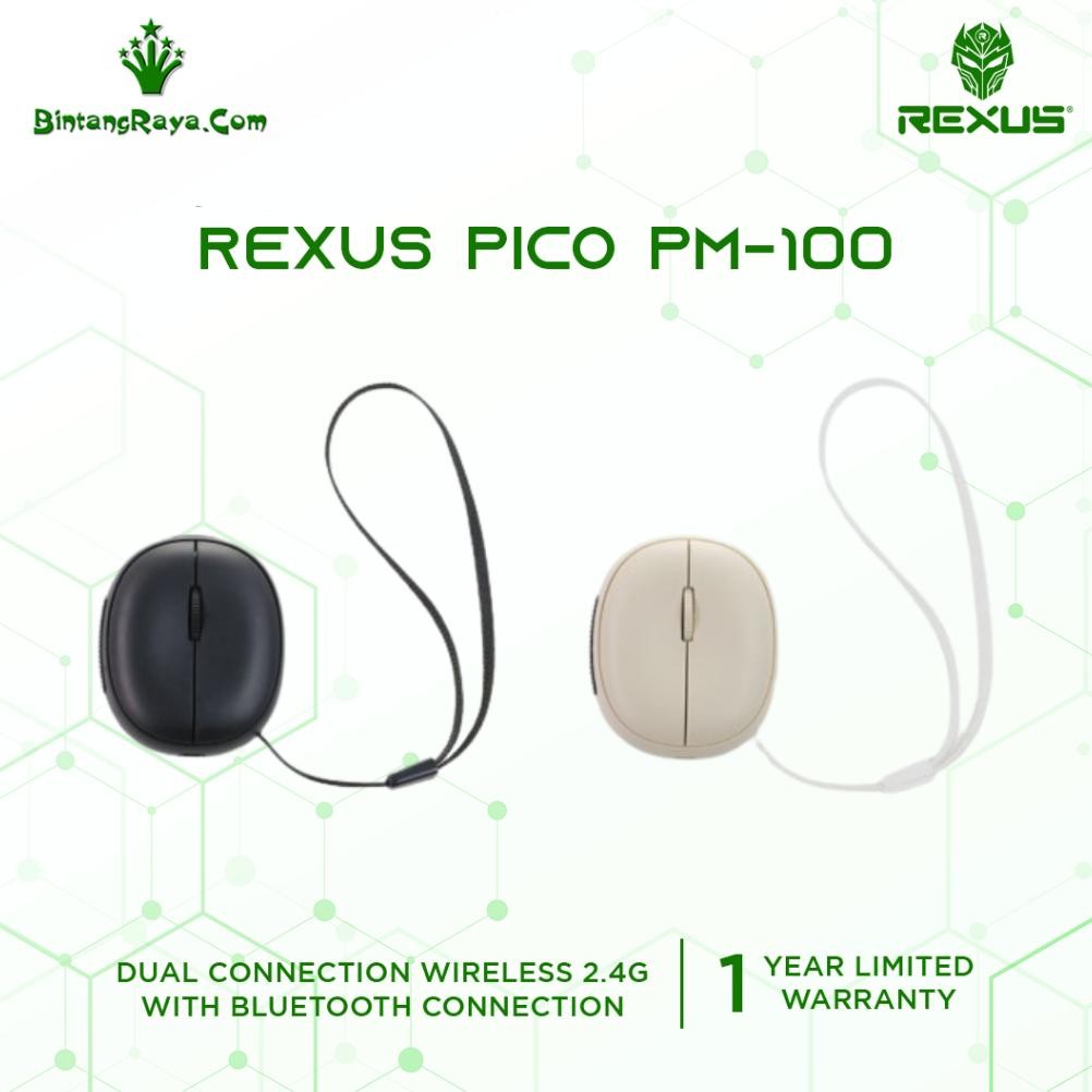 RUMPIN Laser Pointer Mouse Office Rexus Pico PM100 / PM-100 Laser Pointer Mouse Wireless