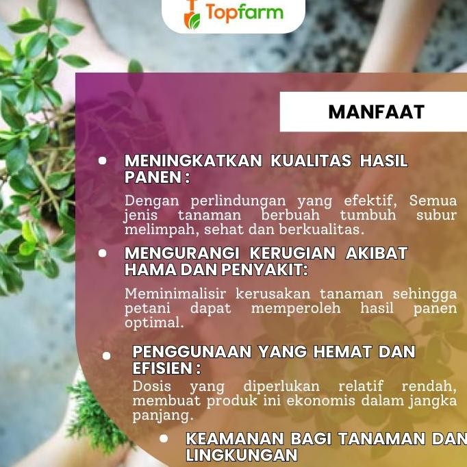 Pestisida Tastes - Obat Semprot Hama Tanaman Buah Buahan / Obat Anti Busuk Buah 1 Liter [terbaik]