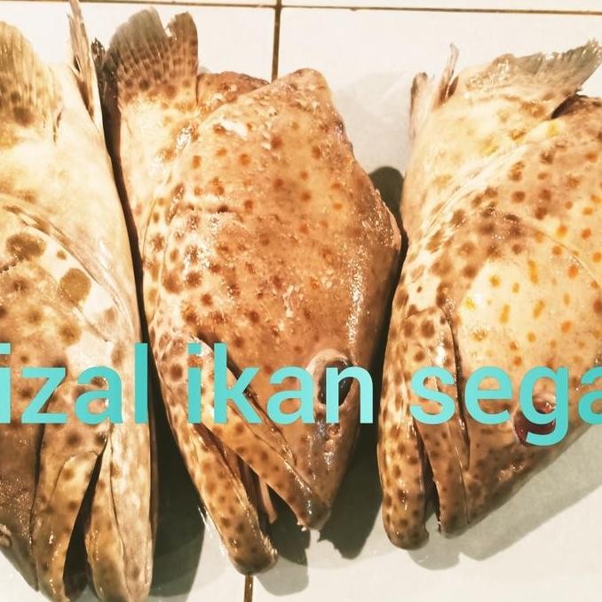 

kepal krapu segar harga perbiji murah