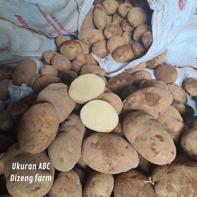 

Berkualitas Kentang Dieng Sedang 1 Kg Isi 8-15