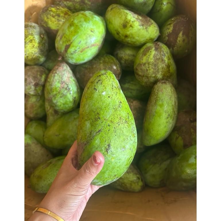 

New Arrival Mangga Muda 1/2Kg