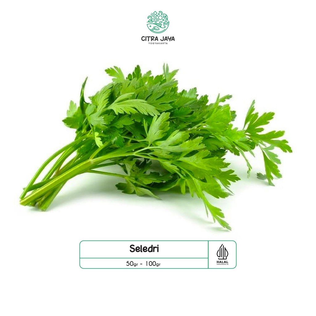 

Nikmati Seledri 100G - Citra Jaya Yogyakarta