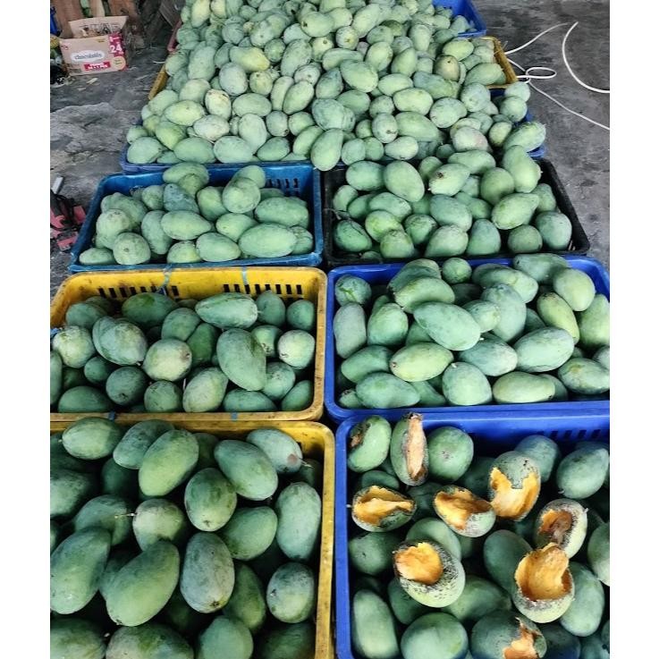 

Elegan Mangga Madu Manalagi 1Kg Bisa Request 1Kg Isi 4-5