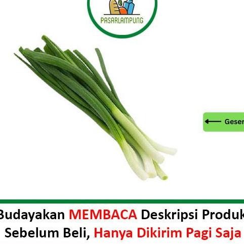 

Praktis Daun Bawang Segar Per Ikat Pasar Lampung, Kesehatan Jantung & Penurunan Berat Badan