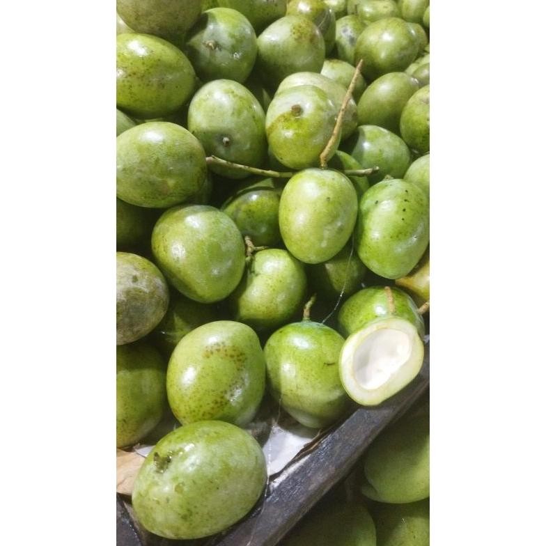 

Elegan Mangga Telur /Mangga Donat /Mangga Viral/Mangga Rujak 1 Kg