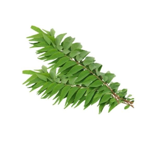 

Efektif Fcw - Daun Kari Segar 1 Ikat