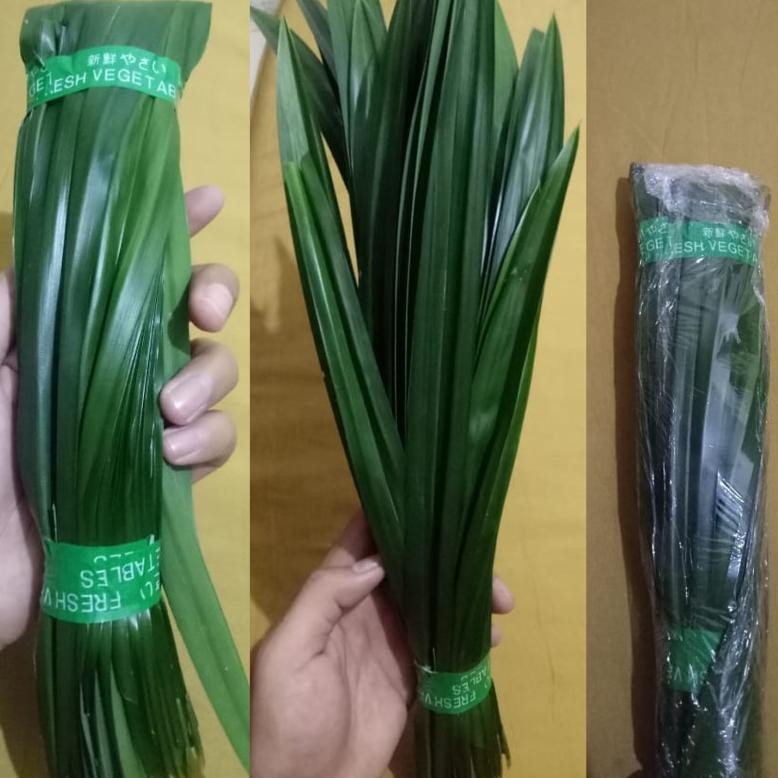 

Terbatas Daun Pandan Segar Fresh 1 Iket (10-15 Lembar Daun) Dipetik Saat Ada Pesanan Masuk