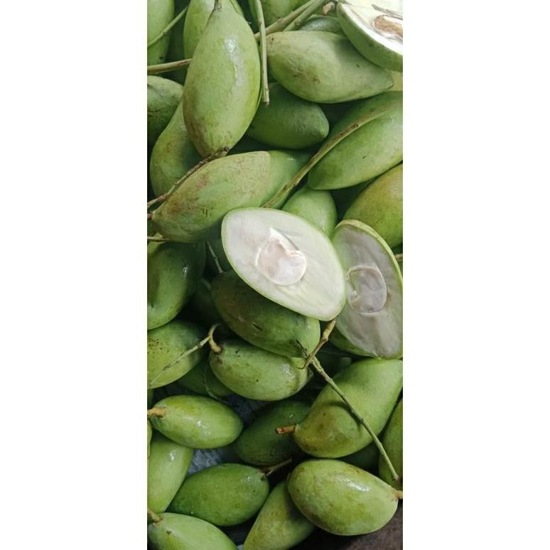 

New Mangga Muda 1 Kg/ Mangga Rujak/ Rujak/ Buah Mangga/Buah Segar