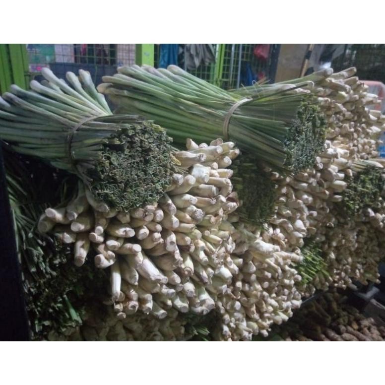 

Segera Daun Sereh Pilihan Fresh 1 Kg