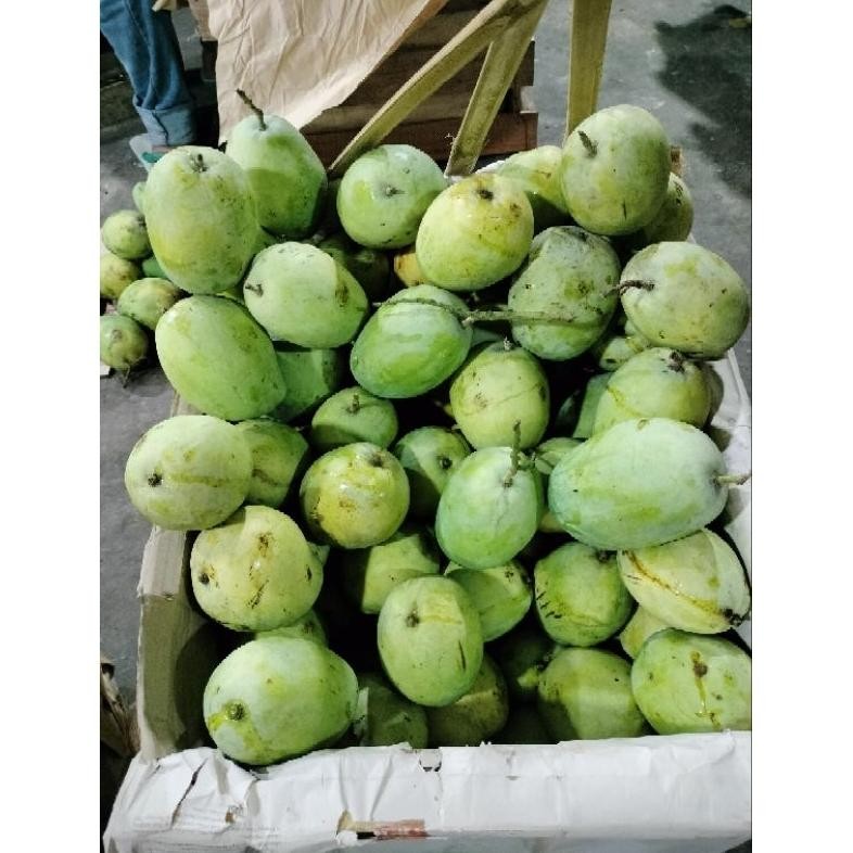 

Bermutu Mangga Indramayu (500 Gram)