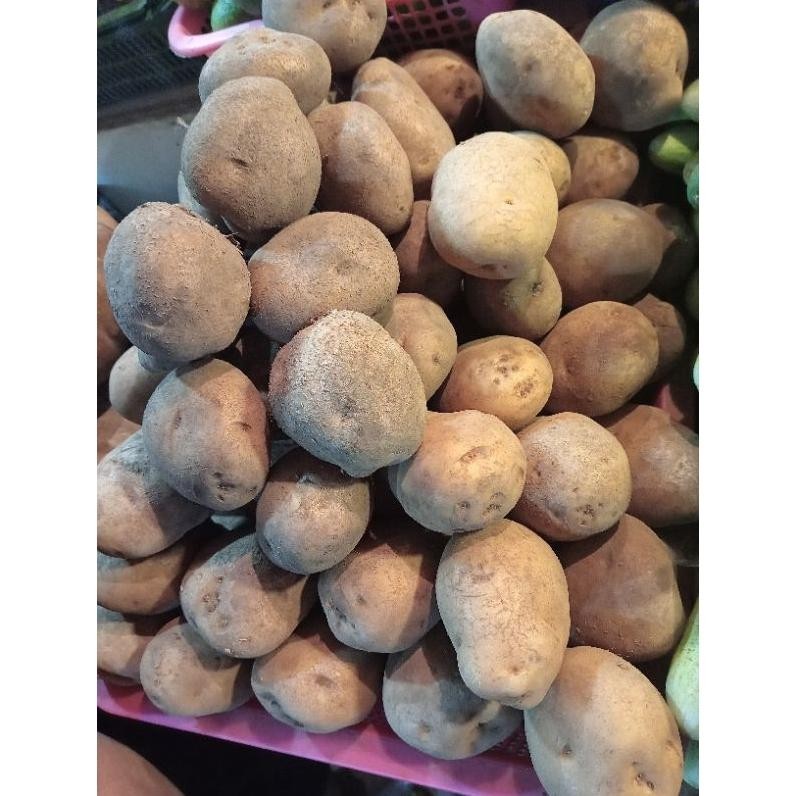 

Trending Kentang Besar 500Gr