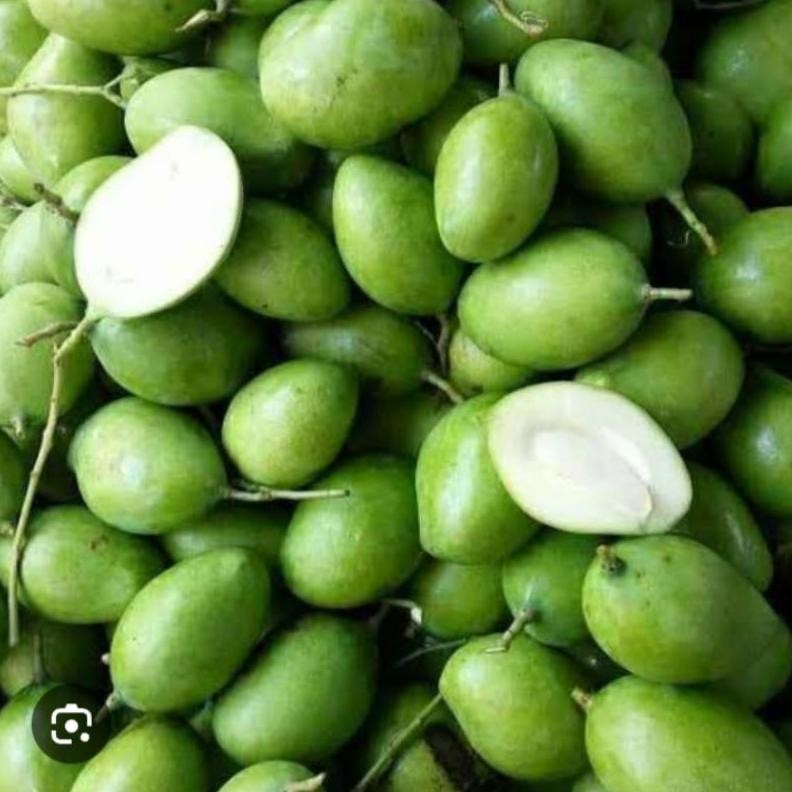 

Terbaru Mangga Muda Rujak Segar 1Kg Renyah Asam