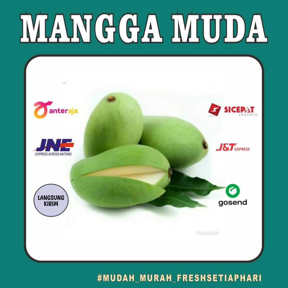 

Perhatian Mangga Muda/Mangga Rujak Fresh Murah Bandung 500G