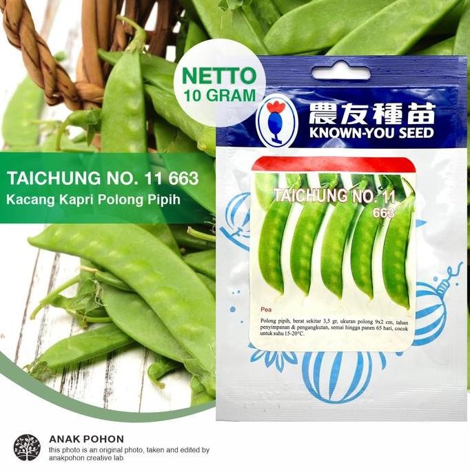 10 Grams Benih Kacang Kapri Taichung No. 11 663 - Known-You Seed murah