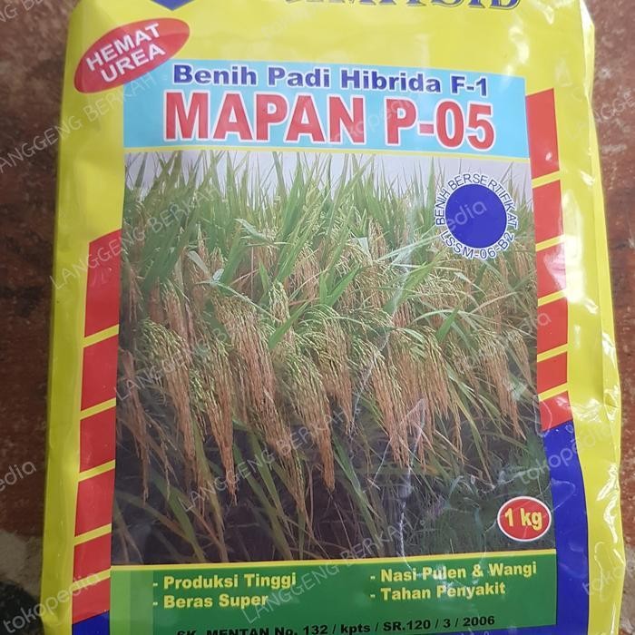 padi hibrida mapan 05 Diskon