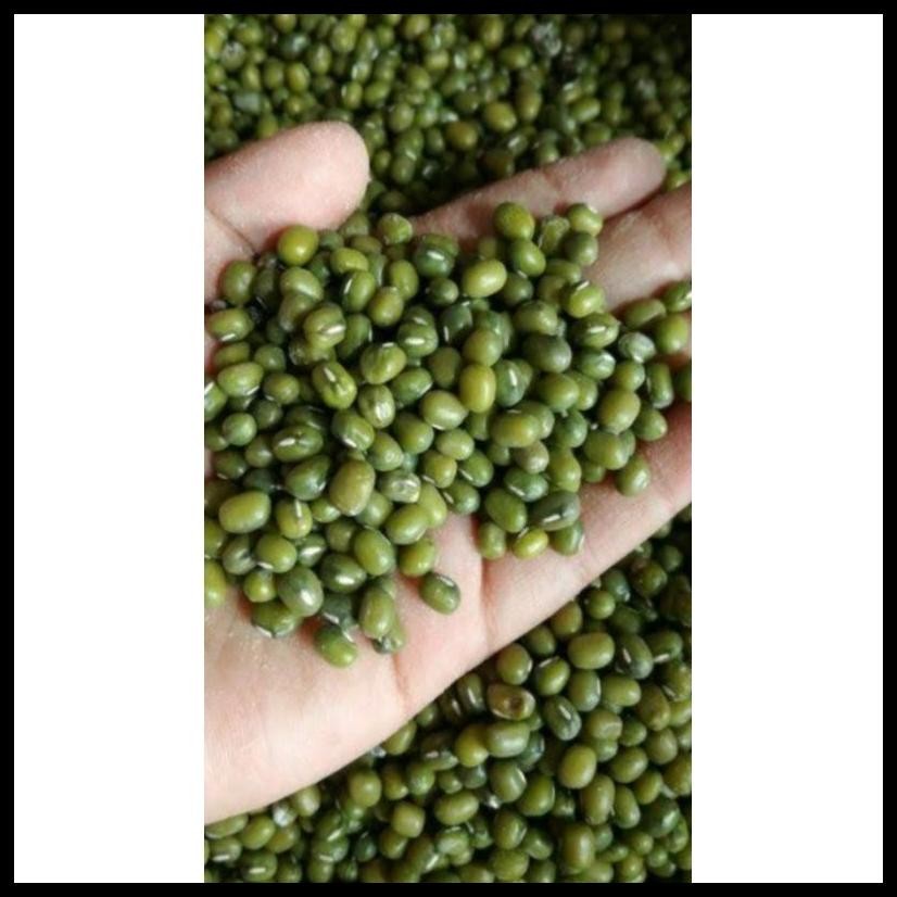 

KACANG HIJAU PAKAN TERNAK 1KILO