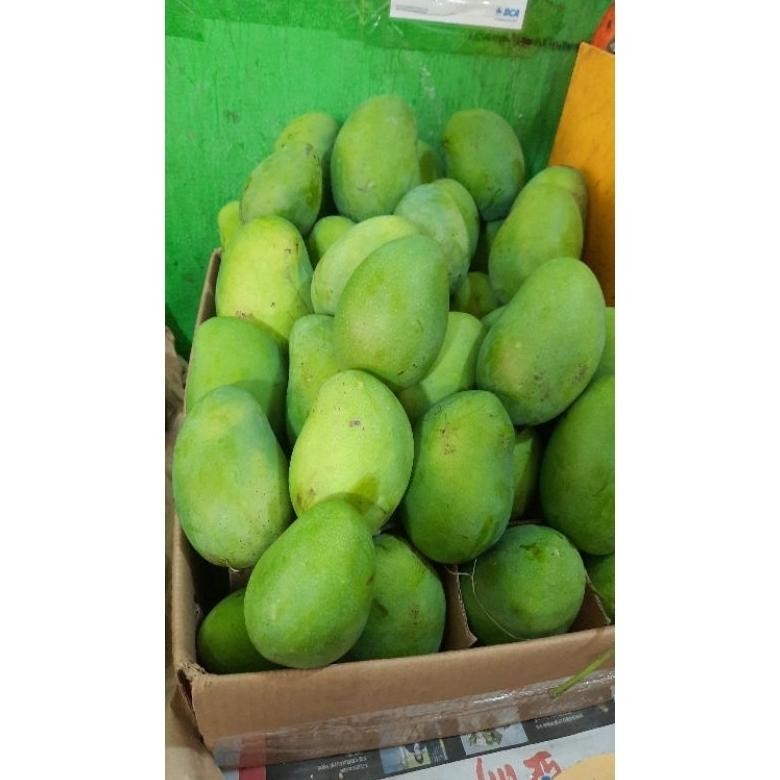 

Pilihan Tepat Mangga Harum Manis/400 Gr/900 Kg