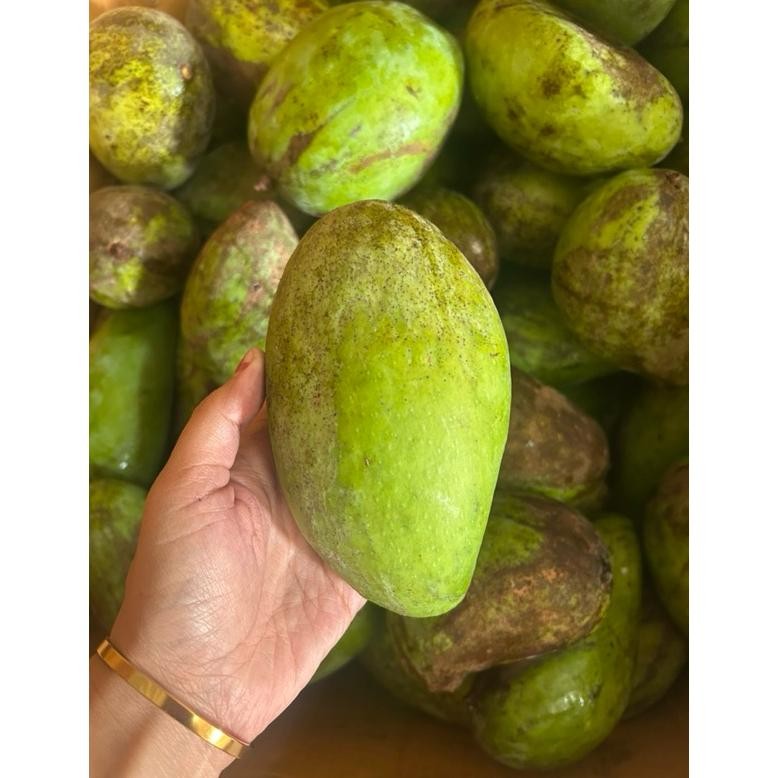 

Paket Mangga Muda 1/2Kg