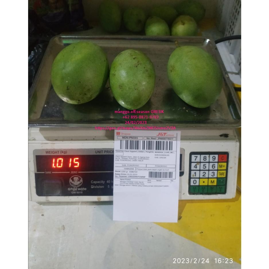 

Mampu Bersaing Mangga Manalagi/ Madu 1Kg Isi 3,4,5,6 Bisa Reques Kondisi Tua