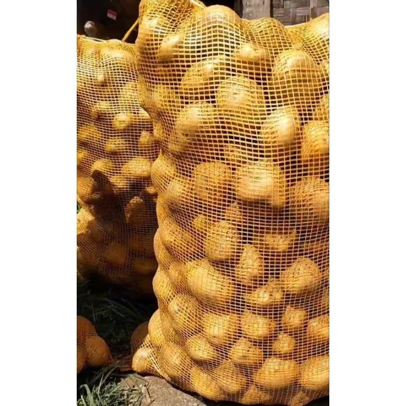 

Paket Kentang Dieng Kualitas Lokal@1Kg