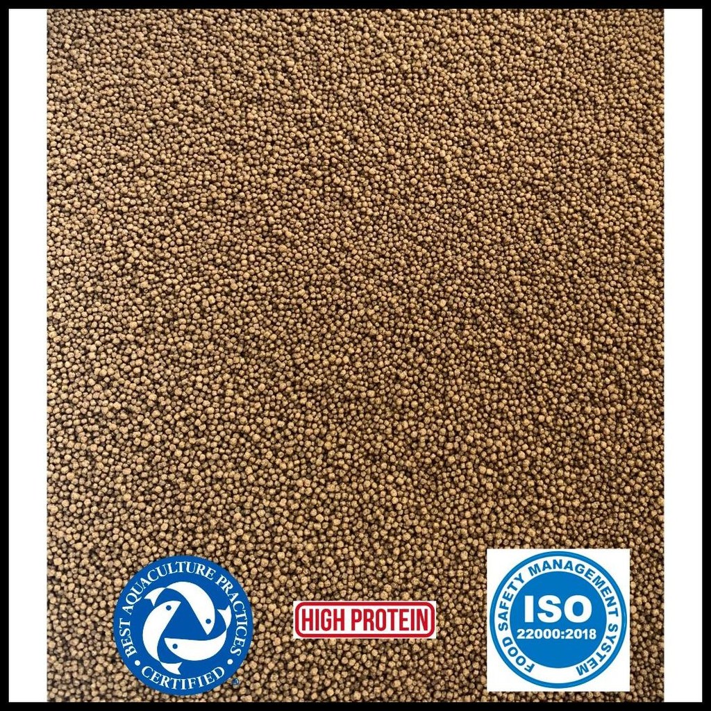 PELET PAKAN BIBIT IKAN KECIL SUPER (1KG) IKAN HIAS KOKI GLOFISH CUPANG NEON CARDINAL DANIO REDNOSE