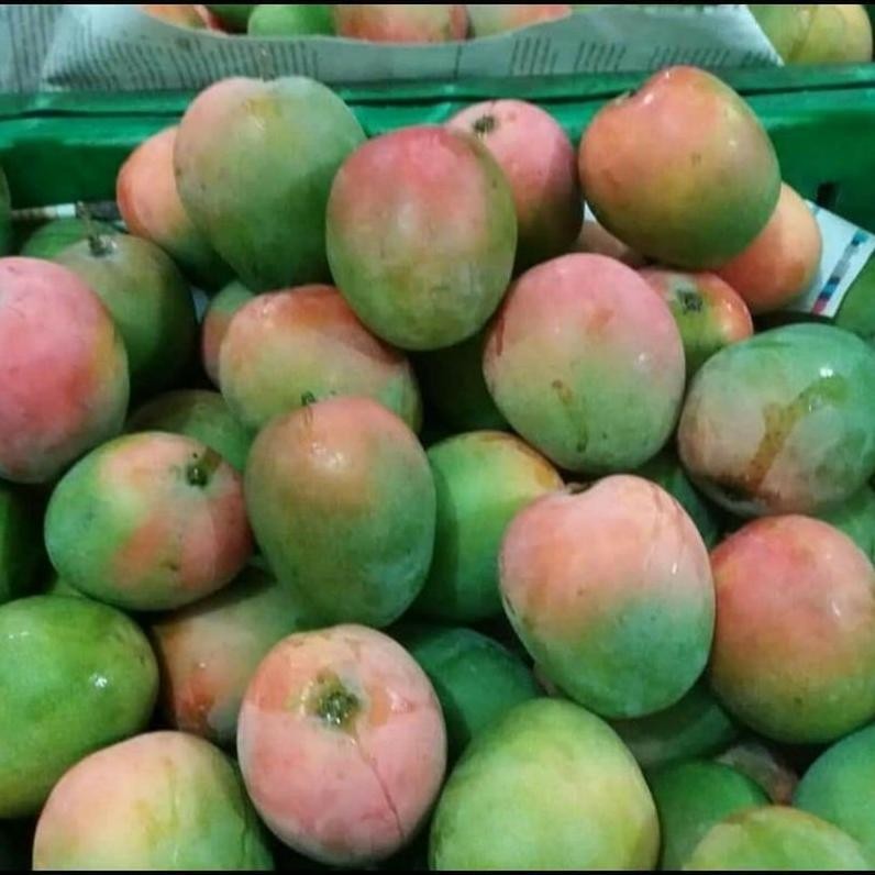 

Luar Biasa Mangga Gincu Super 1Kg (Premium) | Ud Sidomulyo Buah