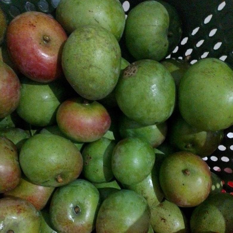 

Buktikan Mangga Muda Apel Fresh