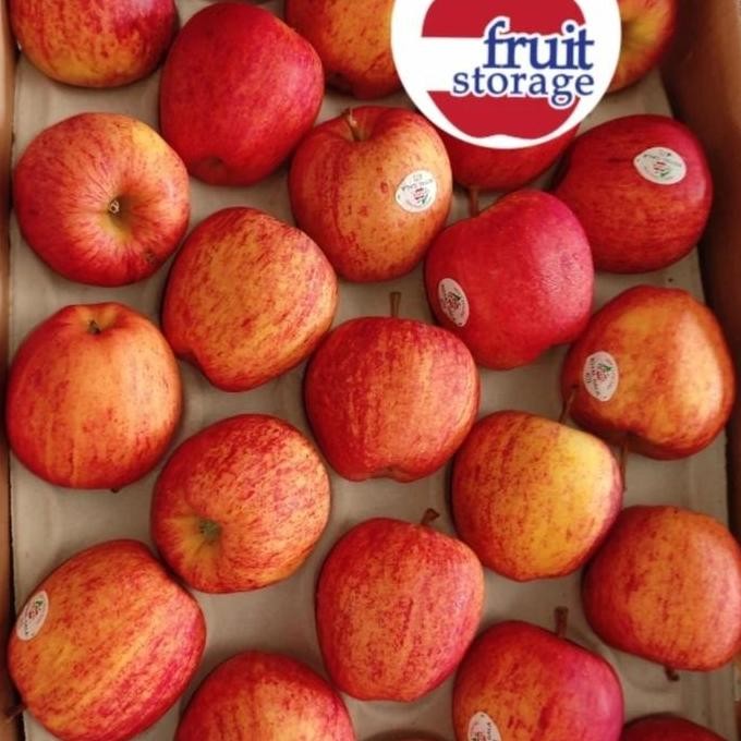 

READY Buah Apel Royal Gala 1kg Import Manis Asam