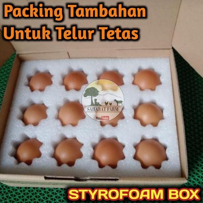 

TELUR TETAS VERTIL AYAM PETELUR BLACK AUSTRALORP PURELINE