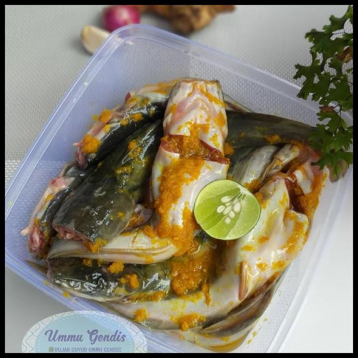 

Terlaris Lele Bumbu -Vacum Food Good Quality